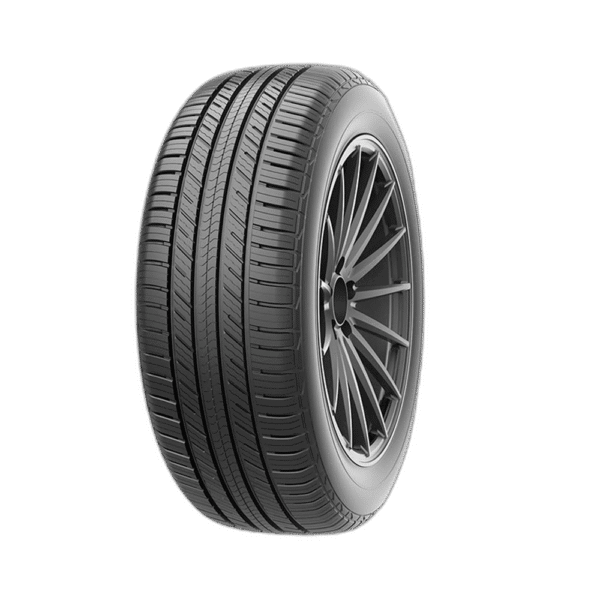 P225-60-17 DOUBLE KING DK365 99H BLK